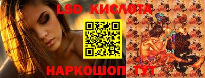 индика Новодвинск