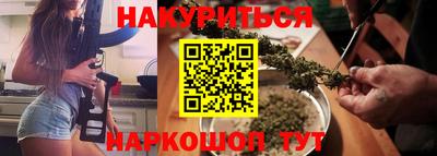 индика Новодвинск