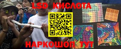 индика Новодвинск