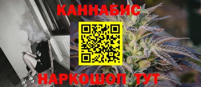 индика Новодвинск