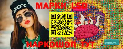 индика Новодвинск