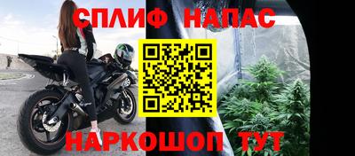 ECSTASY Новозыбков