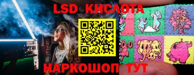 индика Новодвинск